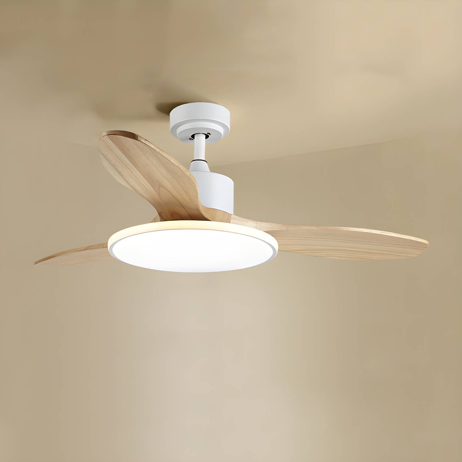 Imported image 2287151409d9 5642826.jpg