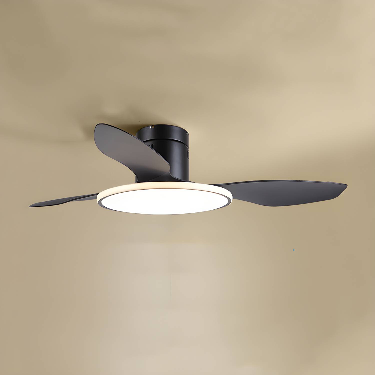 Imported image e7c64408e75a 5642831.jpg