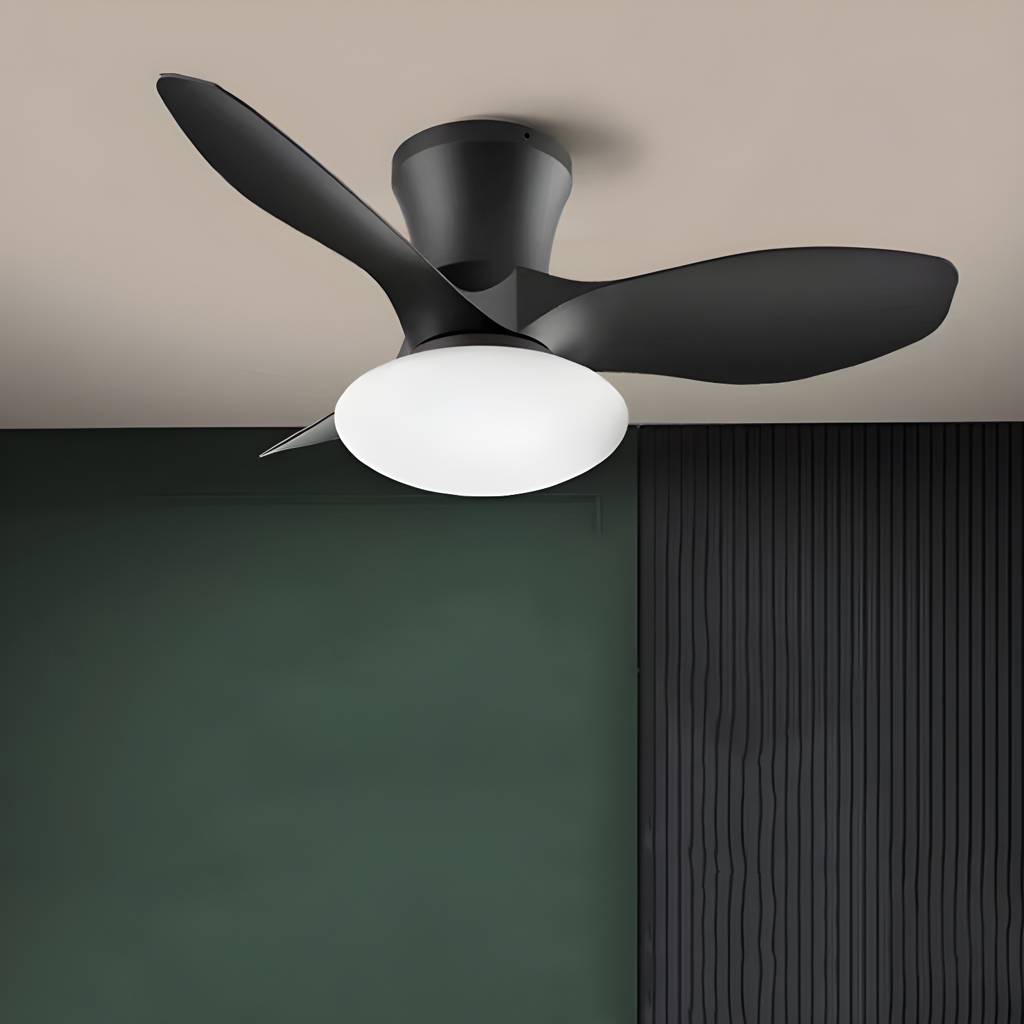 Imported image 8f29febe7a8b 5642844.jpg