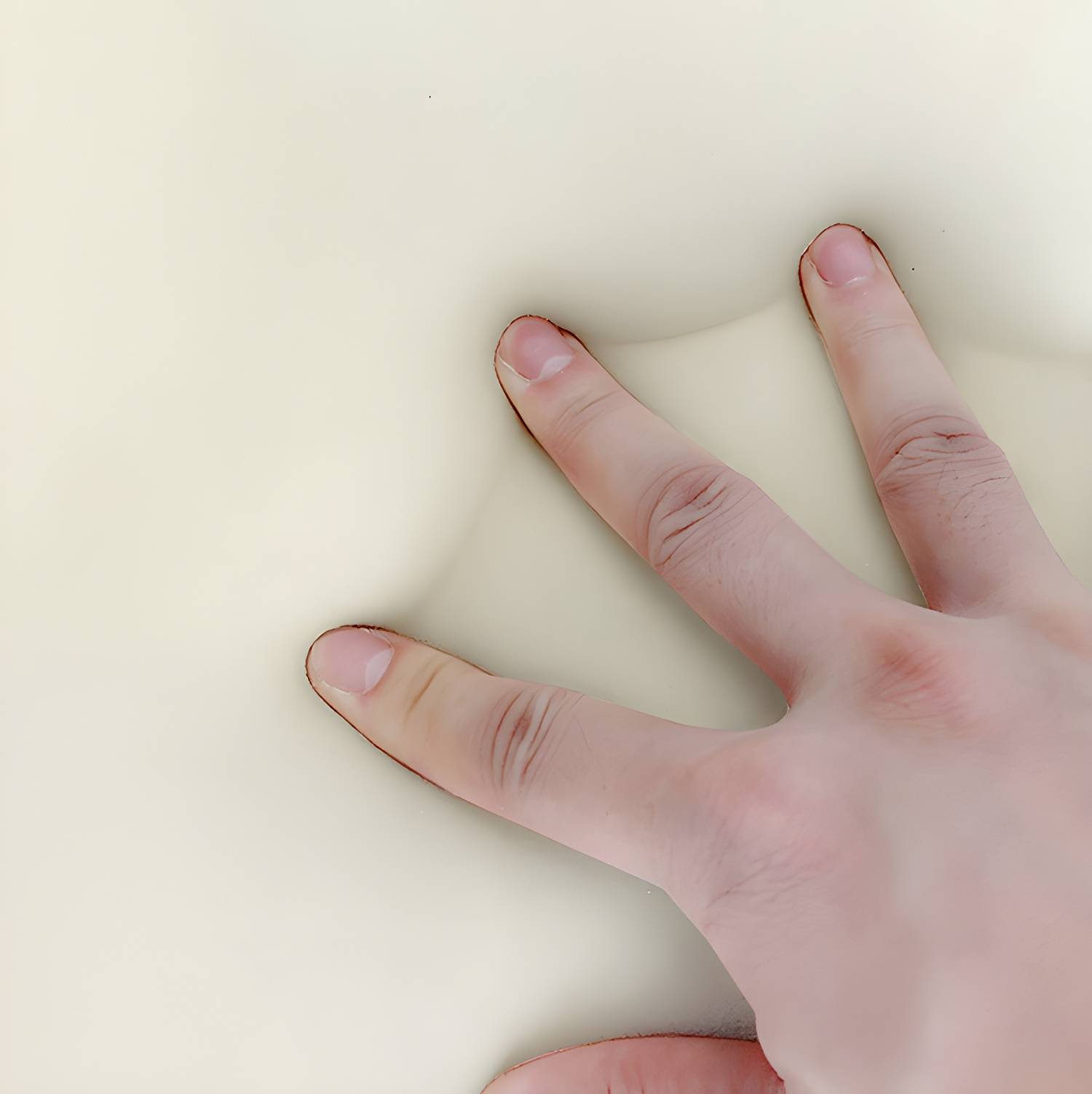 Imported image b37eb4c31653 5648196.jpg