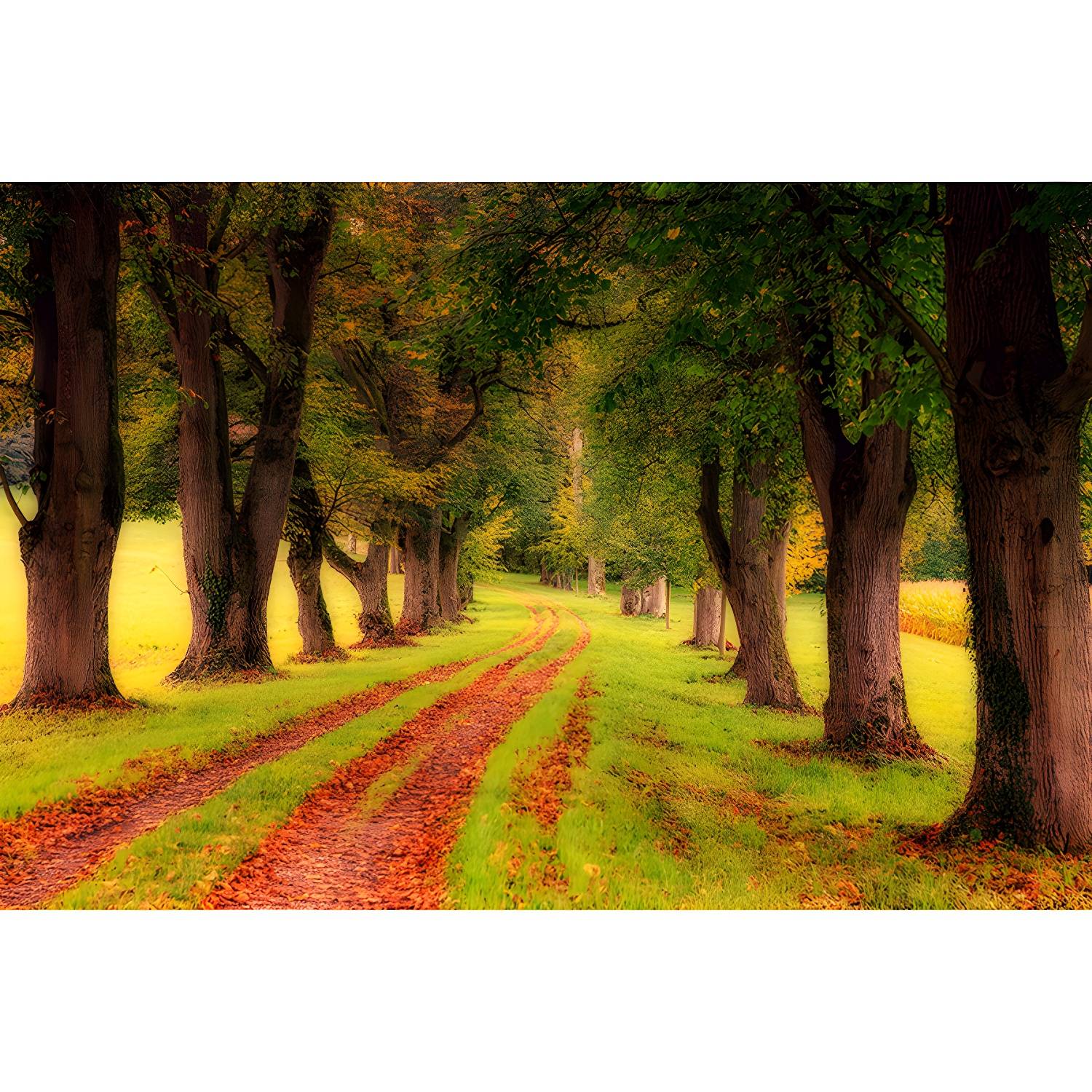 Imported image a2bd5c392d58 5652793.jpg