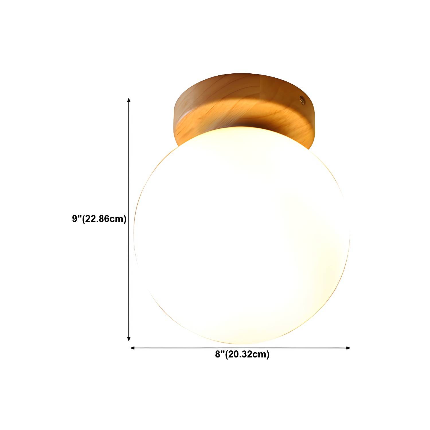 Imported image e9b1ef341153 5667628.jpg