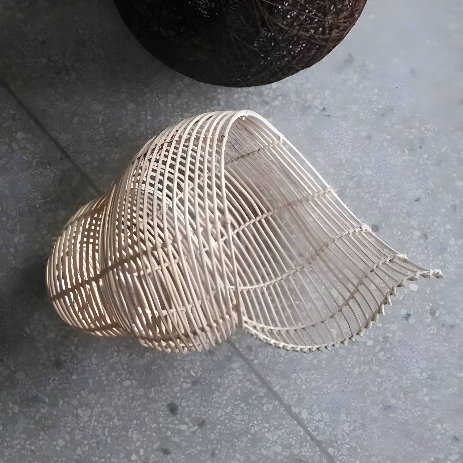 Imported image ff5e2ee791ae 5698775.jpg