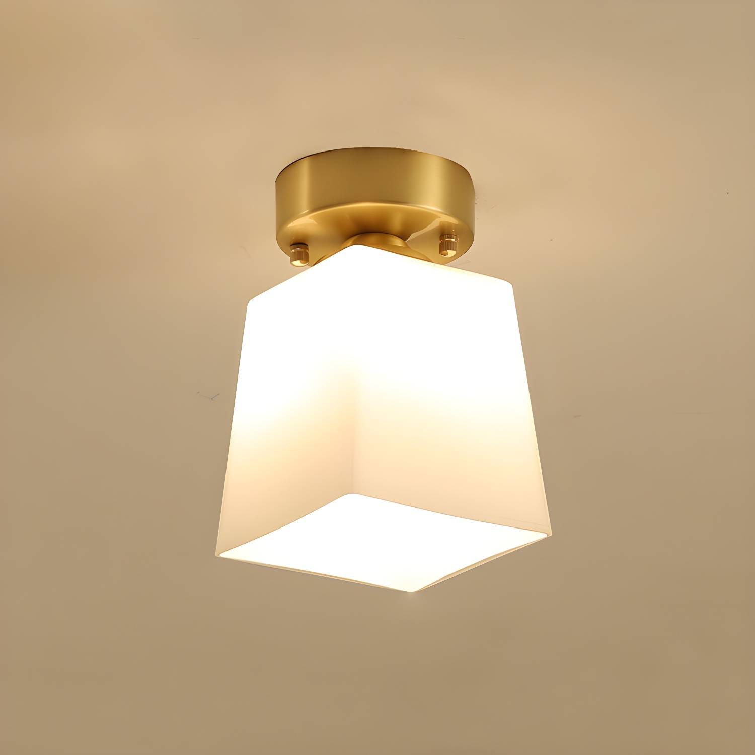 Imported image e5cae2089235 5733347.jpg