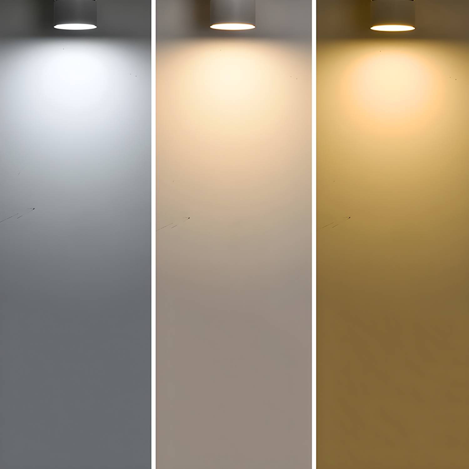 Imported image 5ea967d6e1dc 5743535.jpg