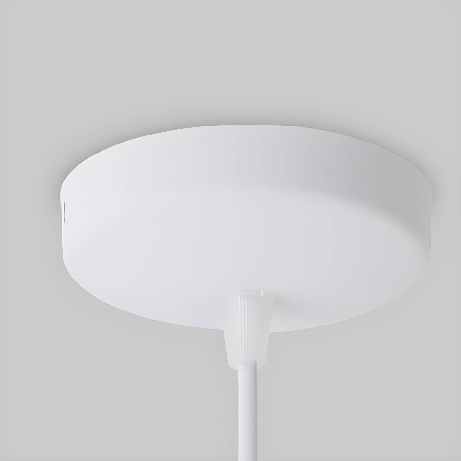 Imported image 1f80c95e6aad 5776958.jpg