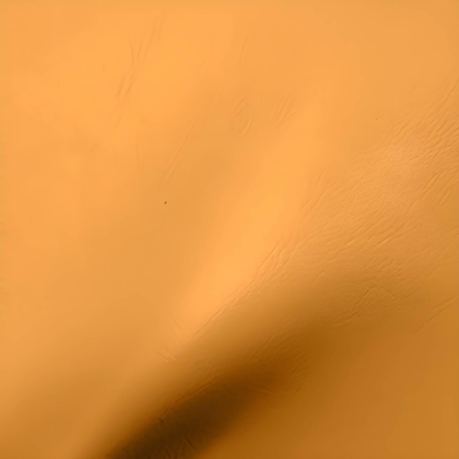 Imported image 5533c610d78f 5790771.jpg