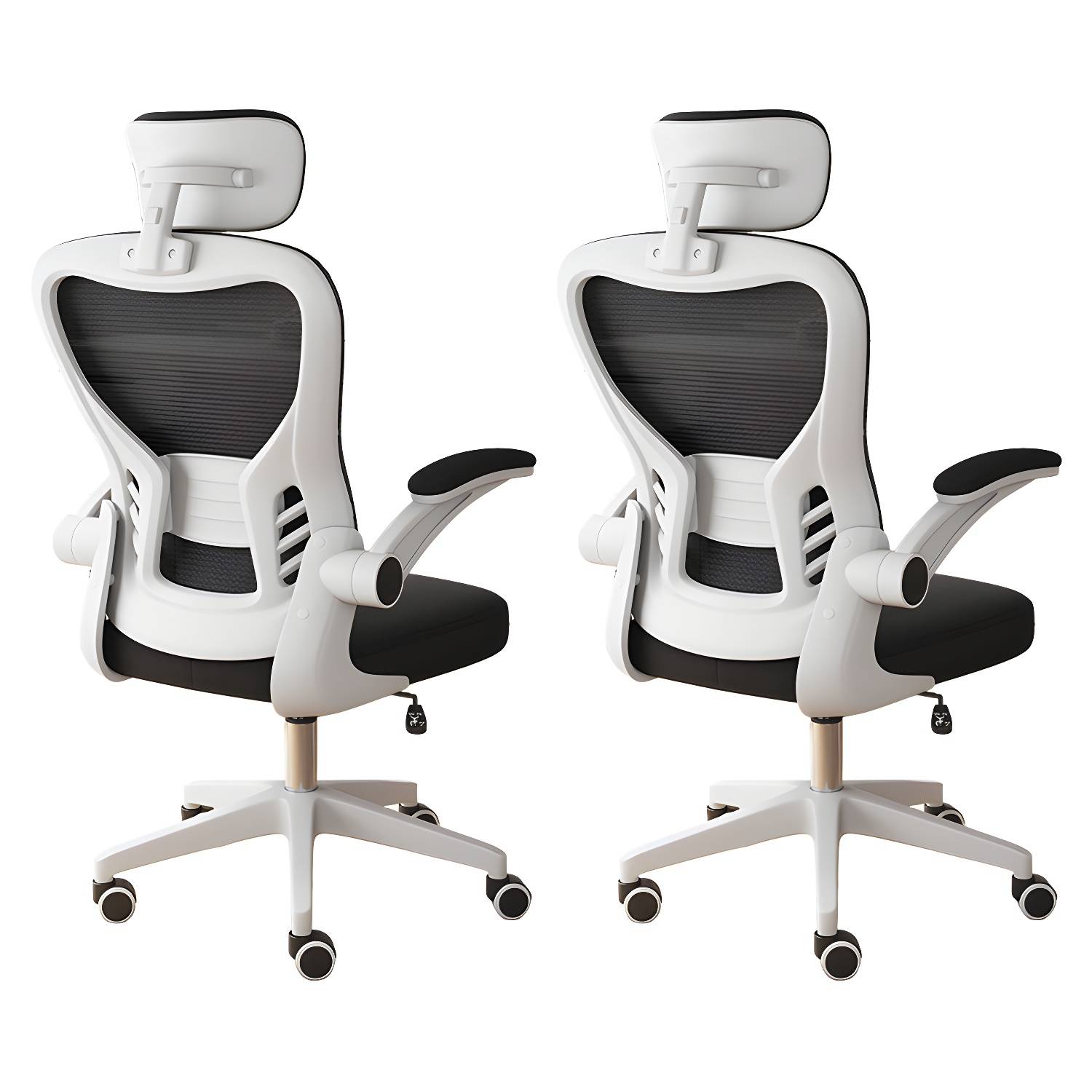 Imported image e78a6e488282 5869558.jpg