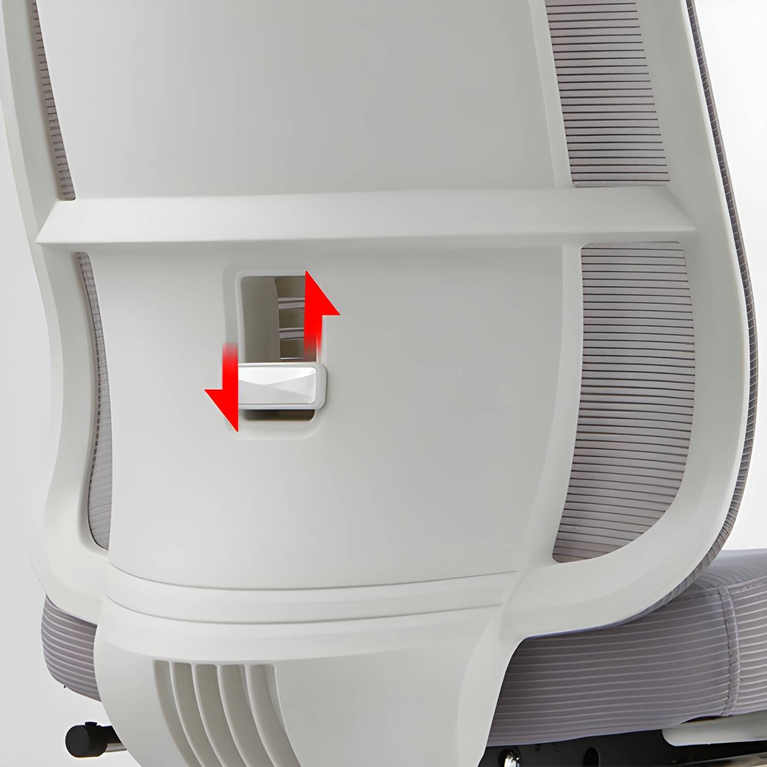 Imported image d67629de7351 5870056.jpg