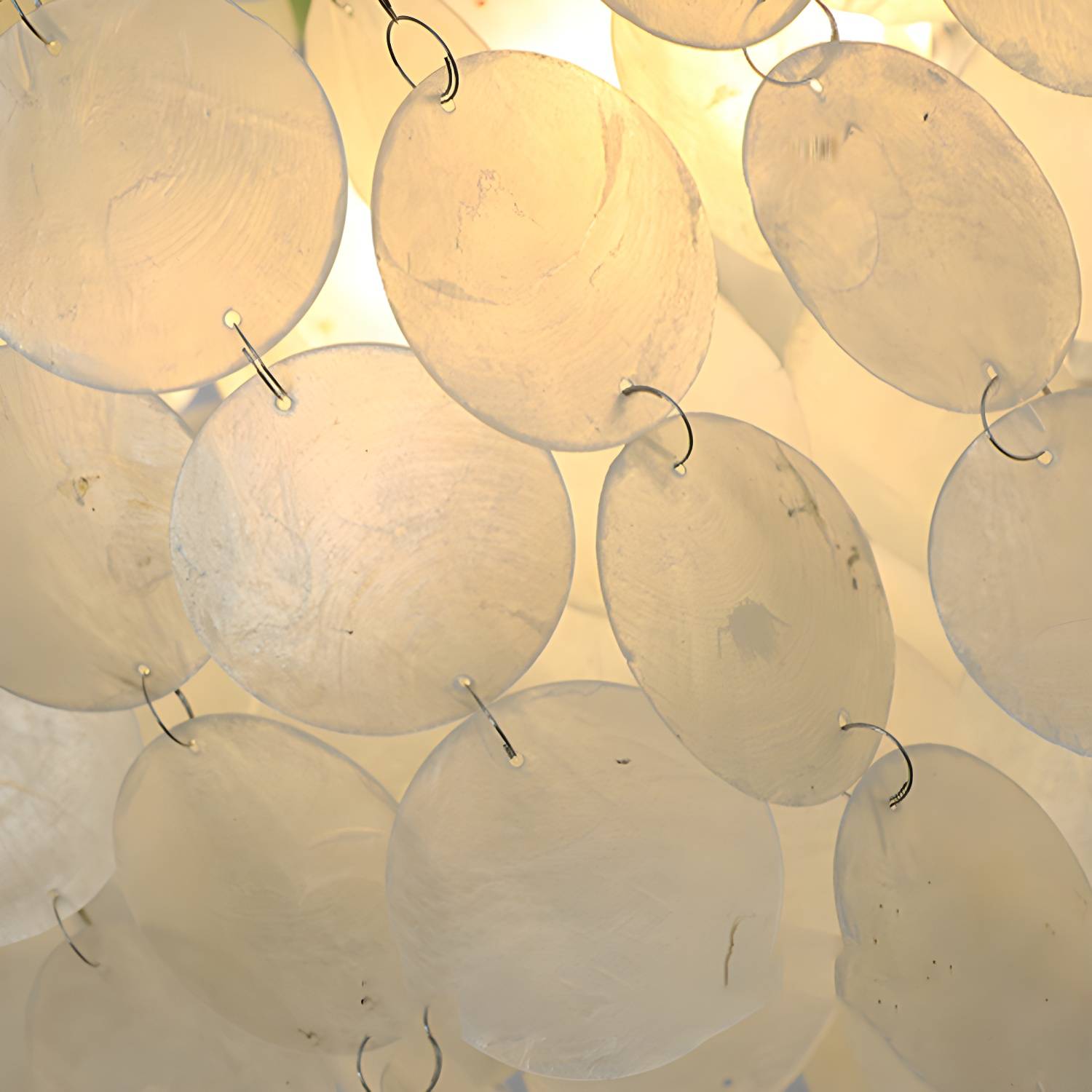 Imported image 41af0841e12a 5880630.jpg