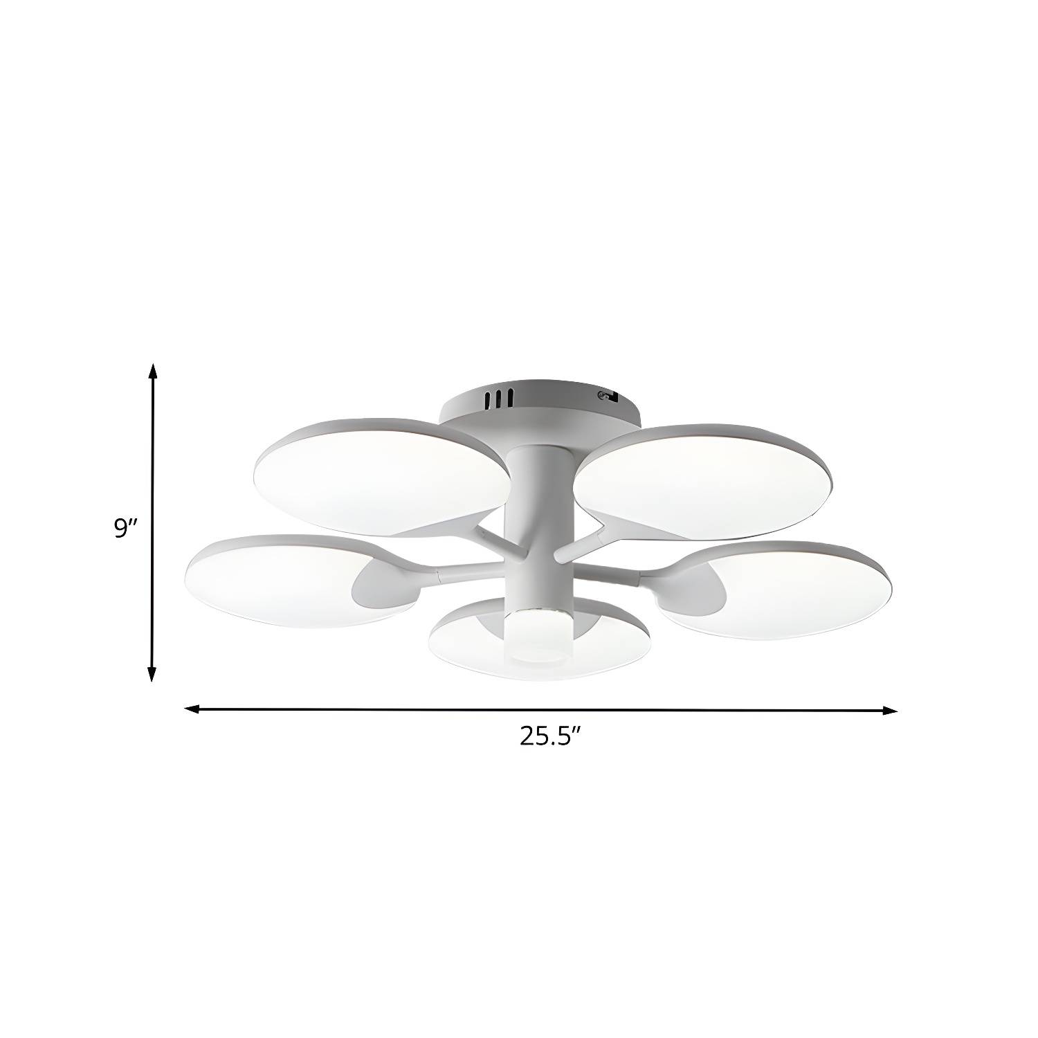 Imported image 732b9cc0d830 732749.jpg