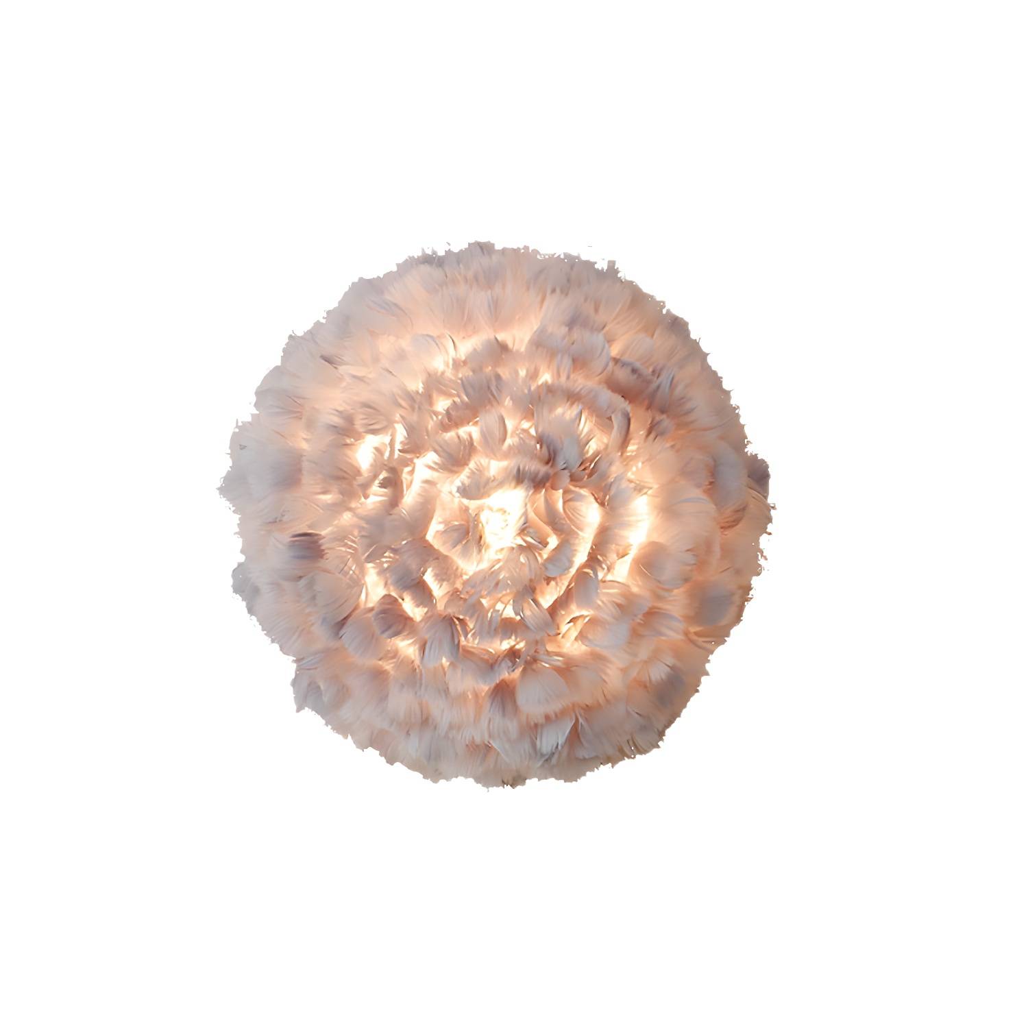 Imported image c7402459f72b 754925.jpg