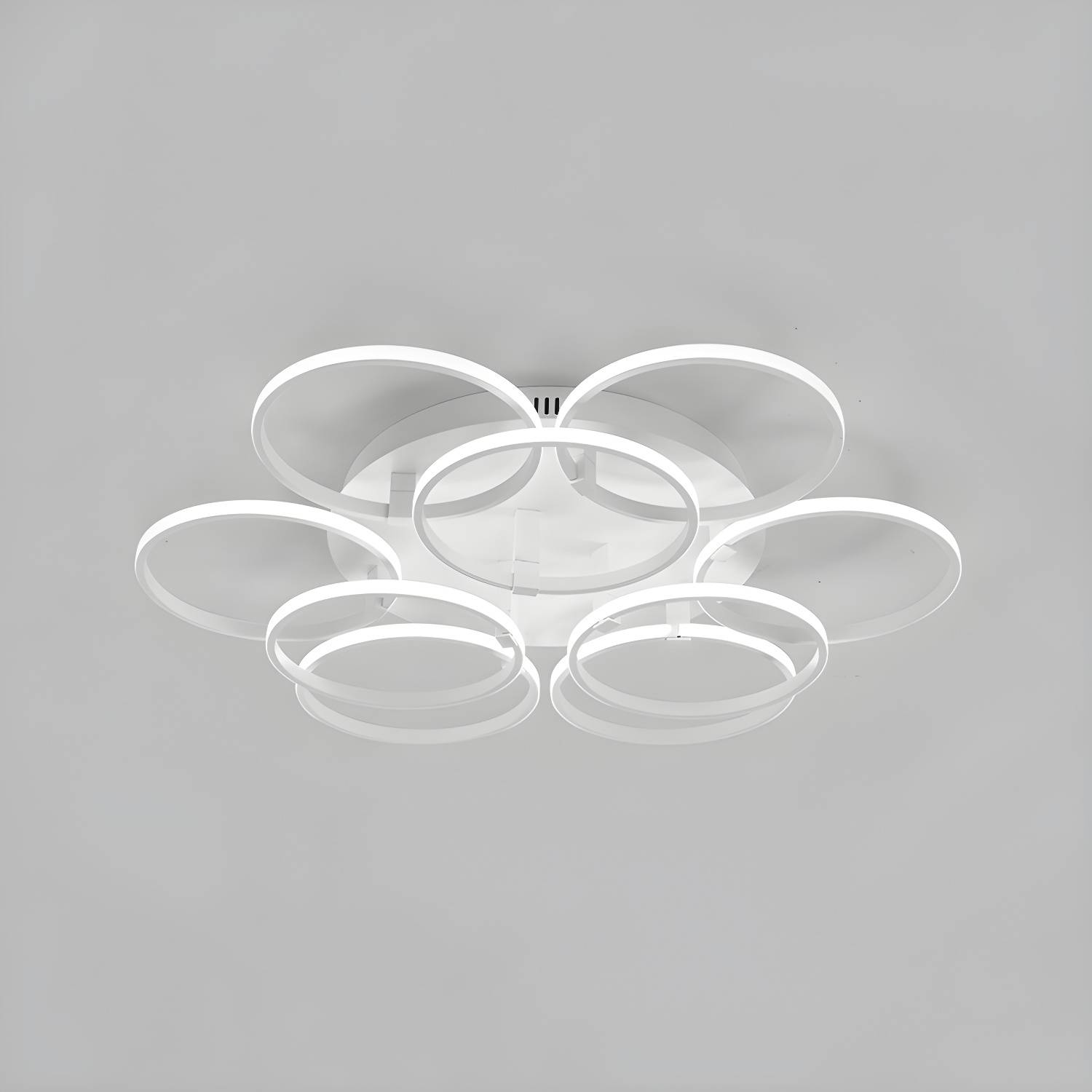 Imported image 57cf8bc17970 773821.jpg