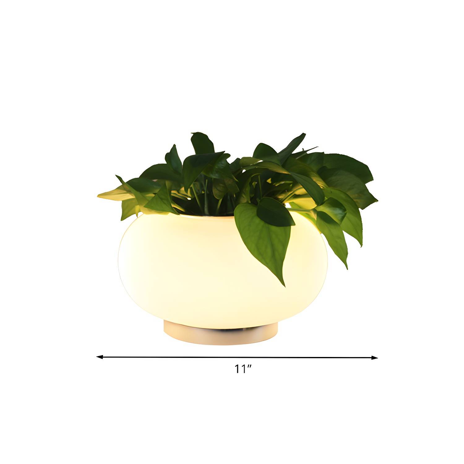 Imported image 4a42c974477d 785065.jpg