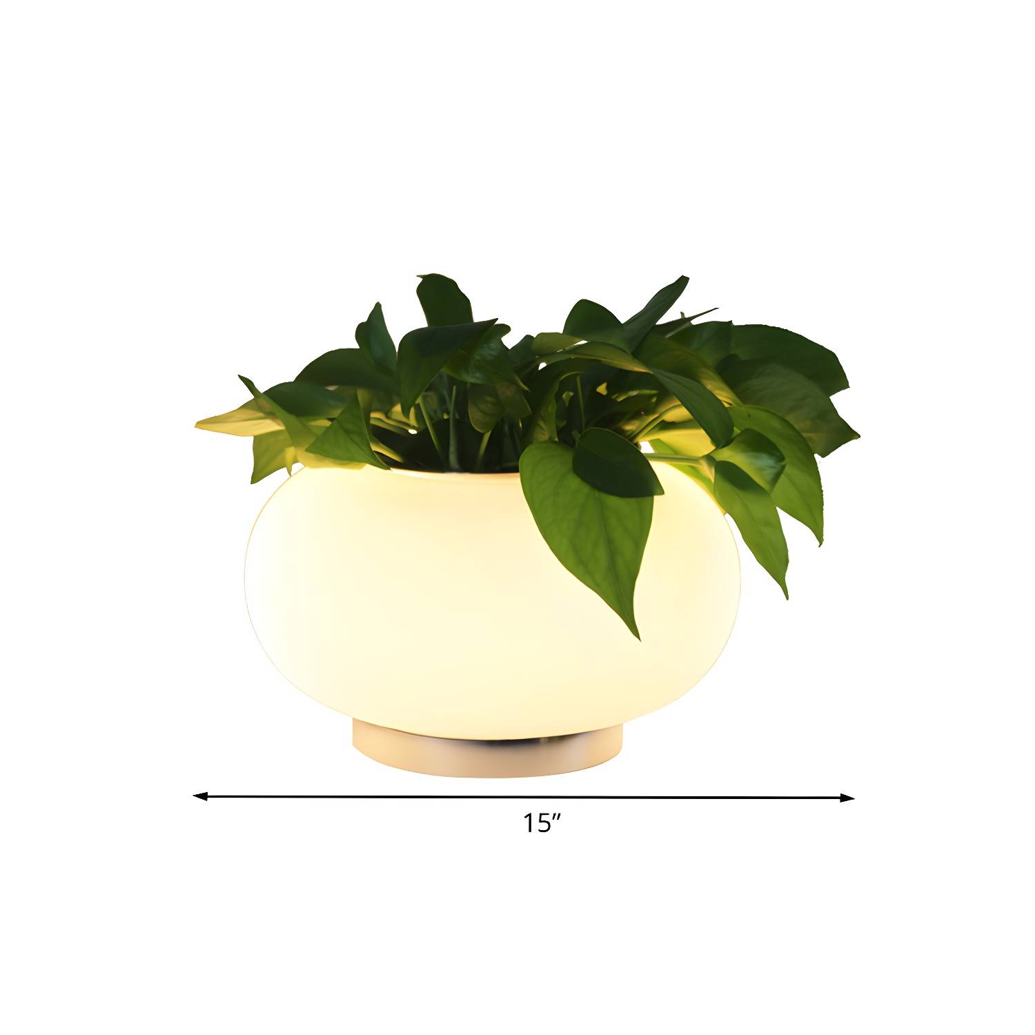 Imported image f5db5d238e52 785066.jpg