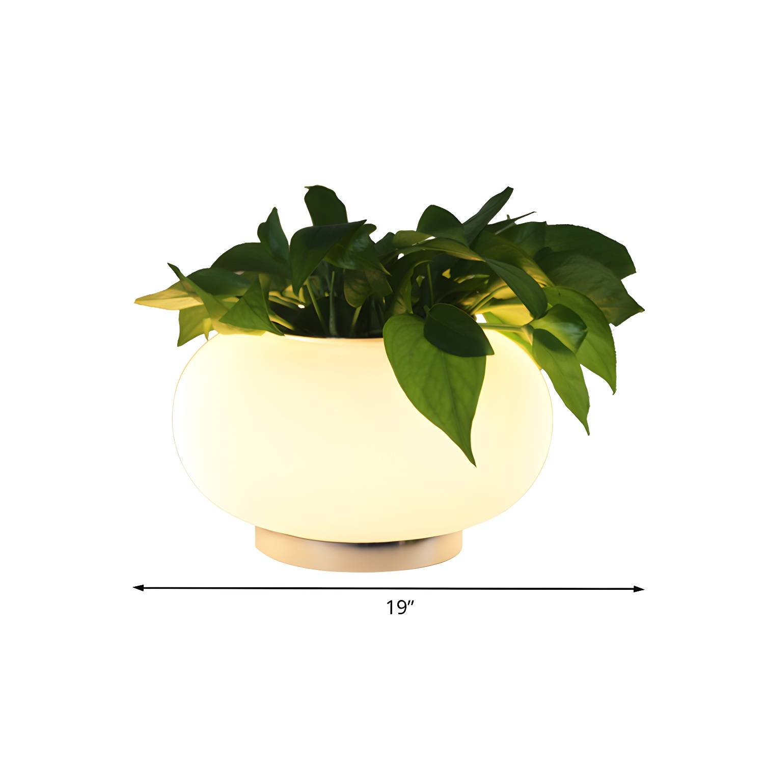 Imported image 33619aa29cc1 785067.jpg