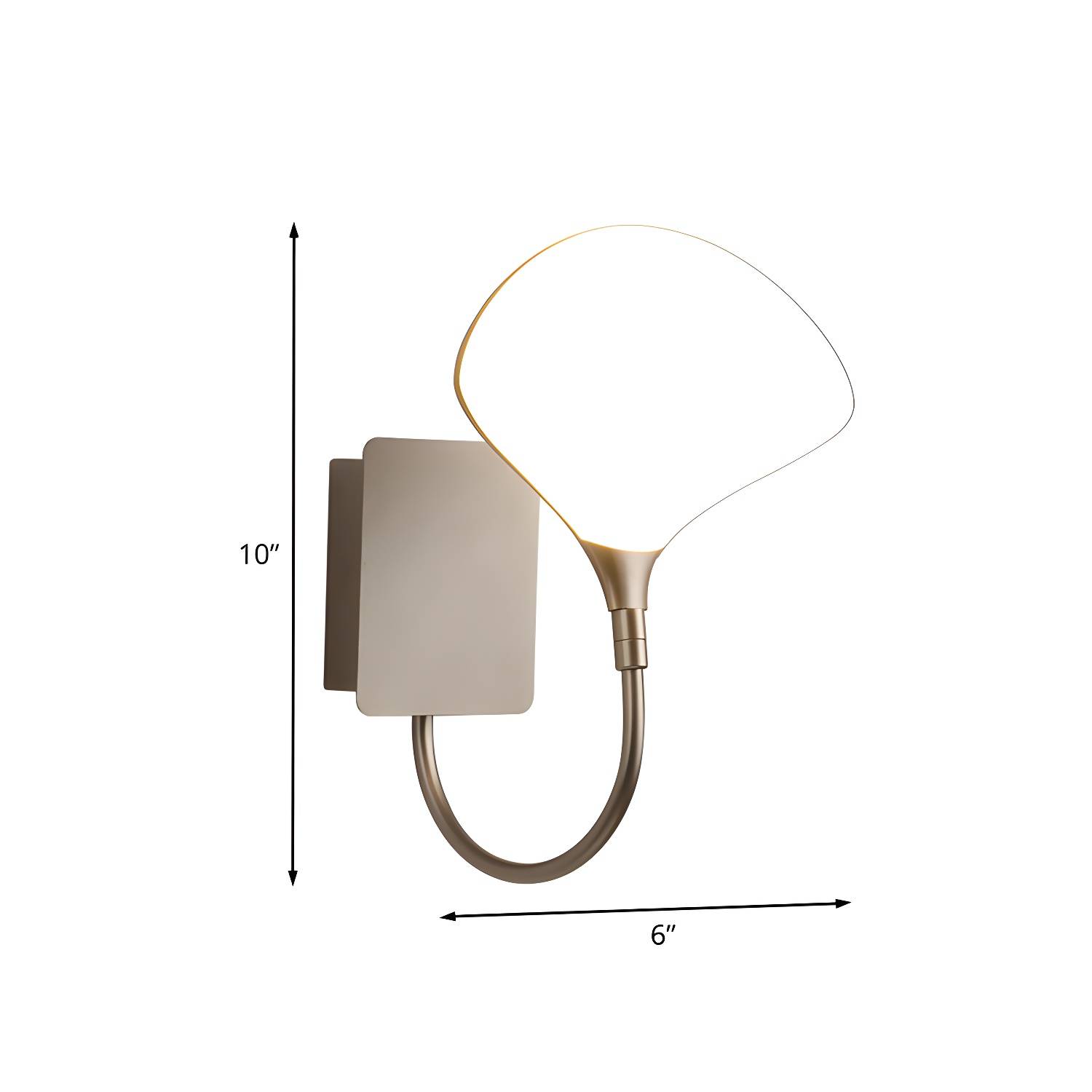 Imported image 30e7184be729 787662.jpg