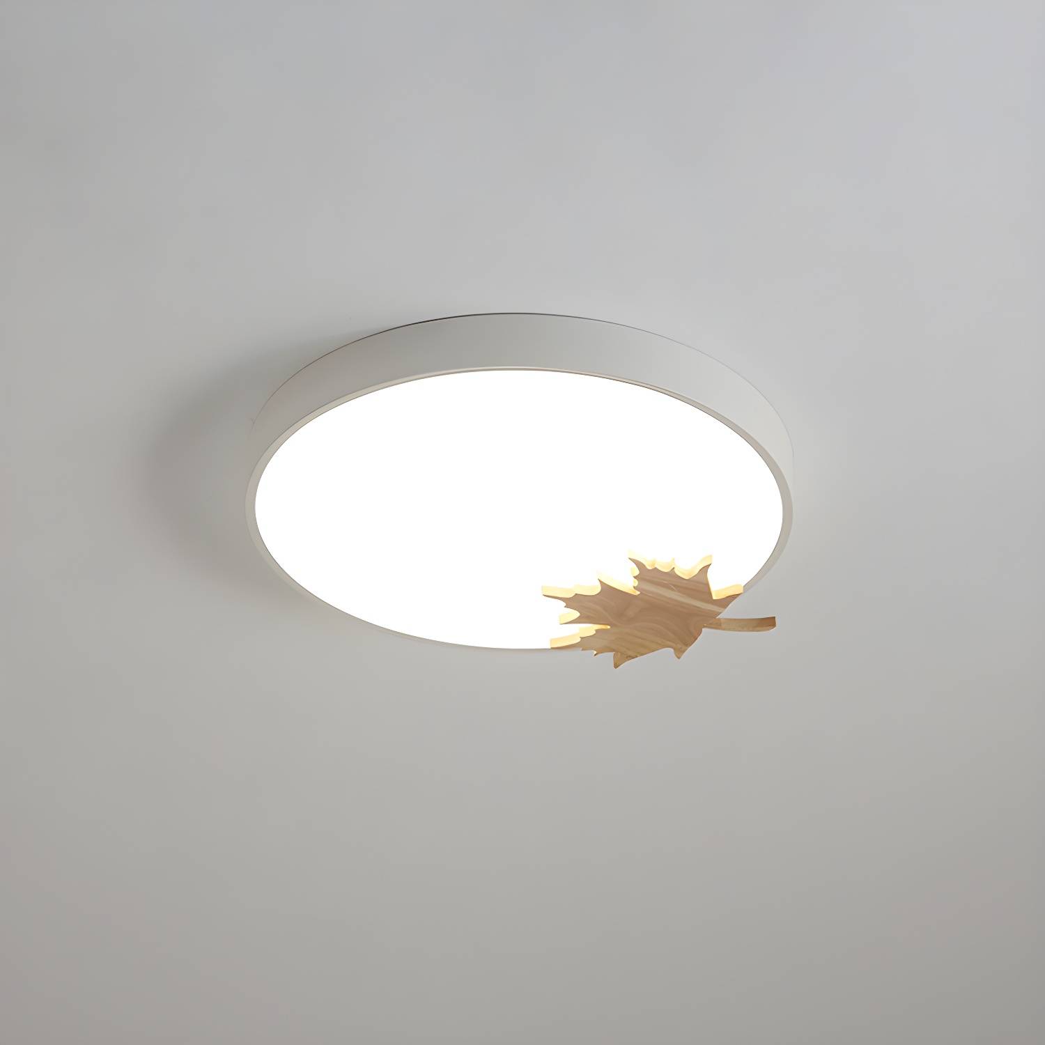 Imported image dd51fa32ddd8 812502.jpg