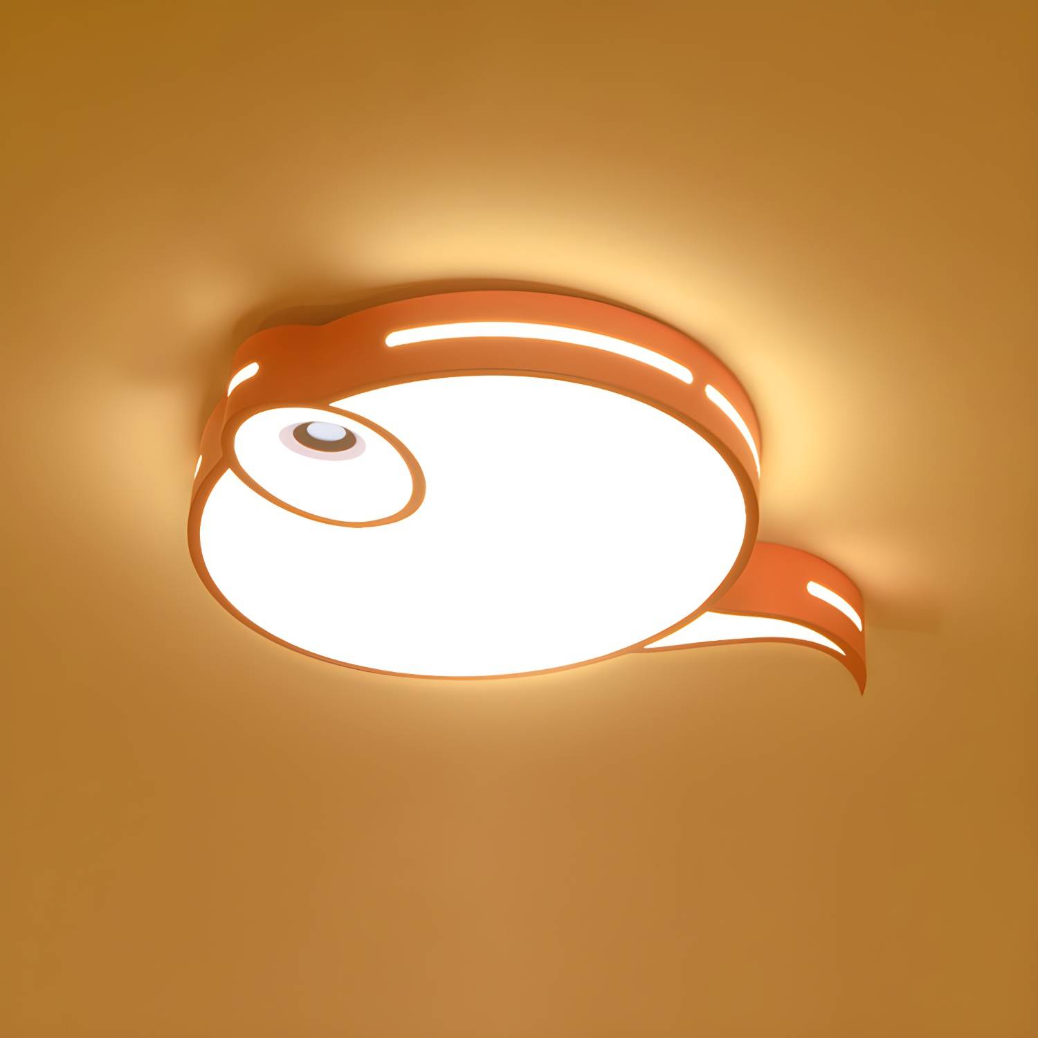 Imported image b72b3b1f1f9d 812578.jpg