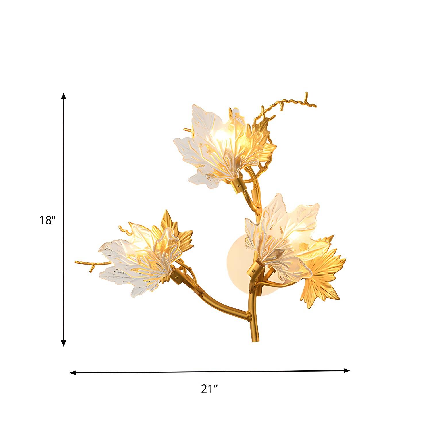 Imported image 6e5bd12c3f02 874884.jpg