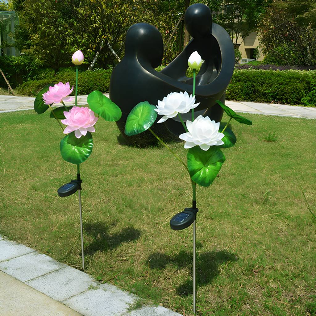 Imported image 79504a43abae 893679.jpg
